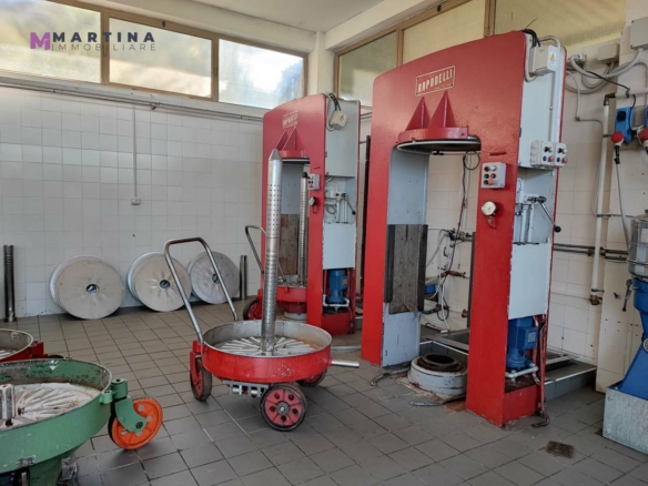 Locale commerciale – Frantoio