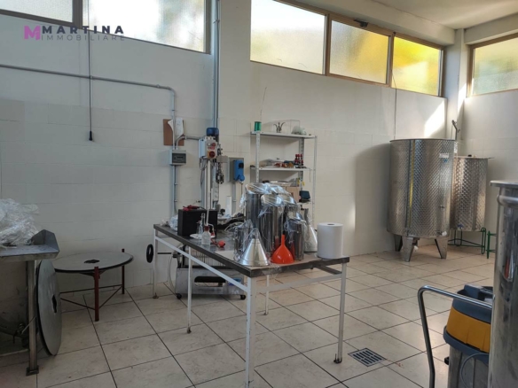 Locale commerciale – Frantoio