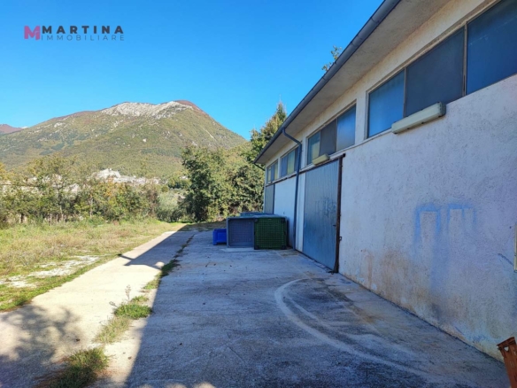 Locale commerciale – Frantoio