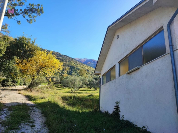 Locale commerciale – Frantoio