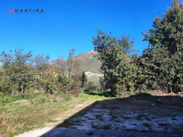 Locale commerciale – Frantoio