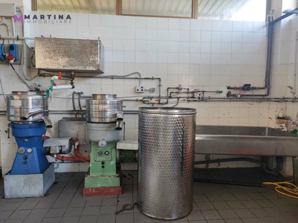 Locale commerciale – Frantoio