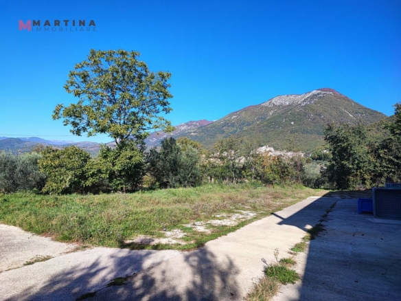 Locale commerciale – Frantoio