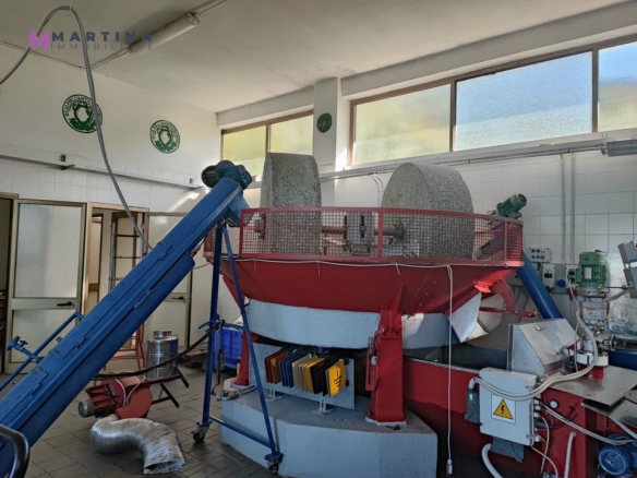 Locale commerciale – Frantoio