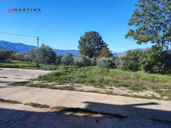 Locale commerciale – Frantoio