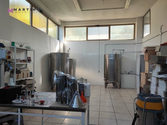 Locale commerciale – Frantoio