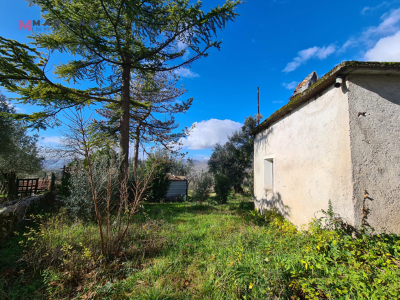 Rustic house to renovate with land