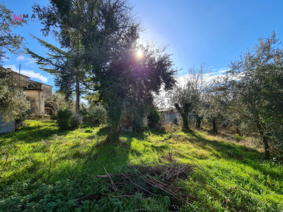 Rustic house to renovate with land