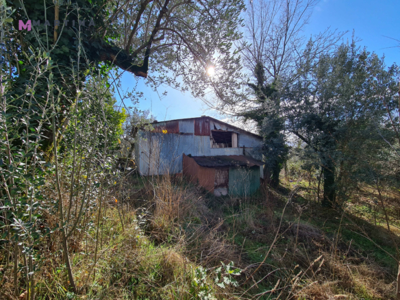 Rustic house to renovate with land