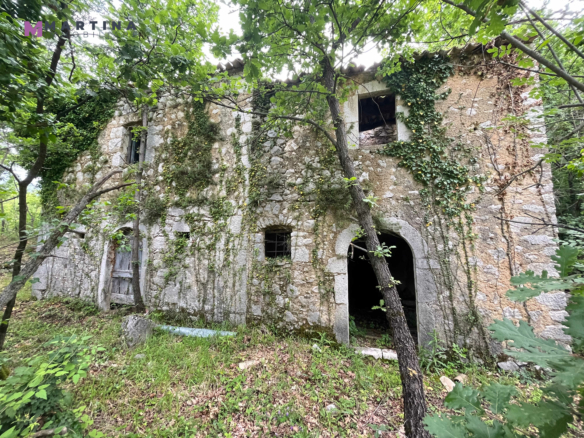 Farmhouse surrounded by greenery