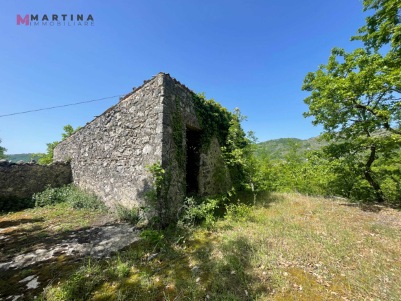 Farmhouse surrounded by greenery