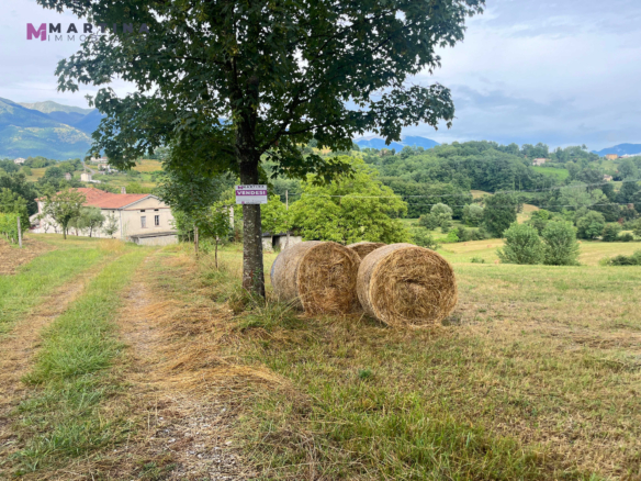 Semi-detached house with land
