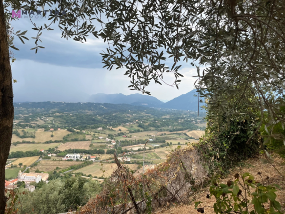 Appartamento e rustici con giardini privati