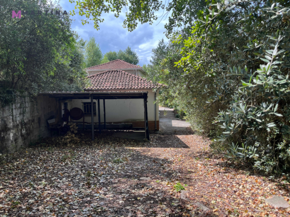 Casale indipendente con terreno