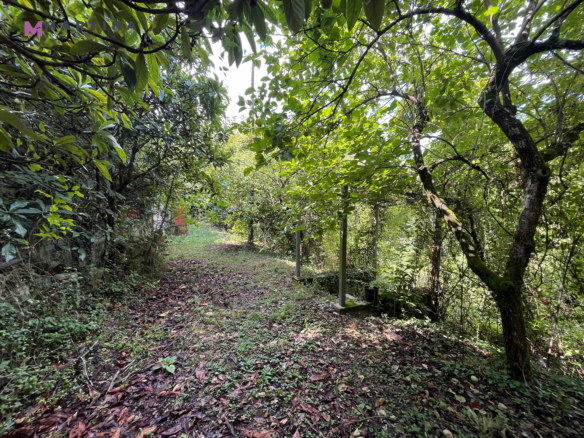 Casale indipendente con terreno