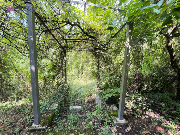 Casale indipendente con terreno