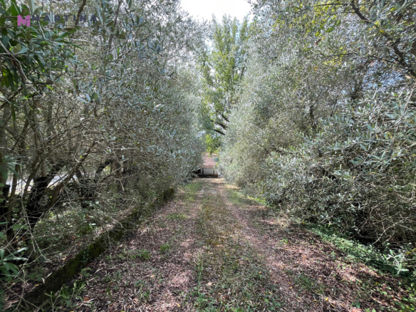Casale indipendente con terreno
