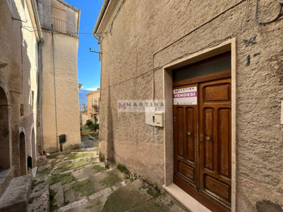 Double apartment with cellar and terrace