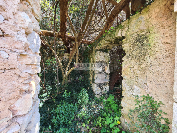 Ruin with land