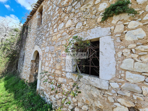 Ruin with land