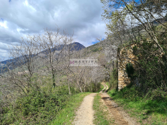Ruin with land