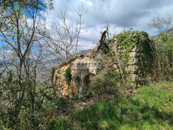 Ruin with land