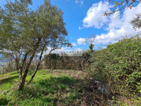 Ruin with land
