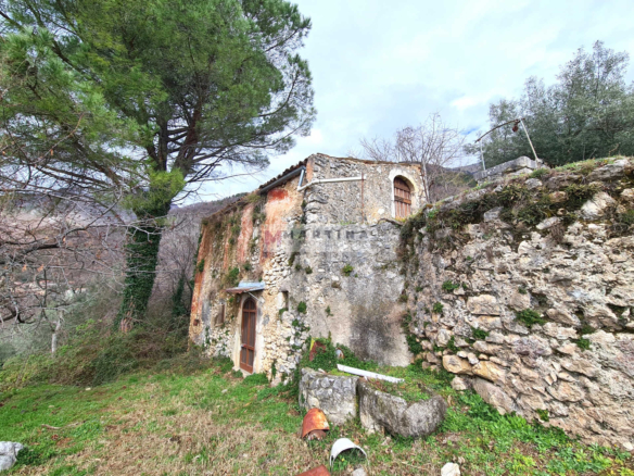 Rustic house with olive grove