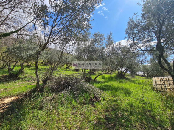 Ruin with land