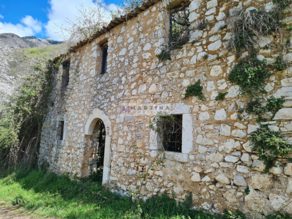 Ruin with land