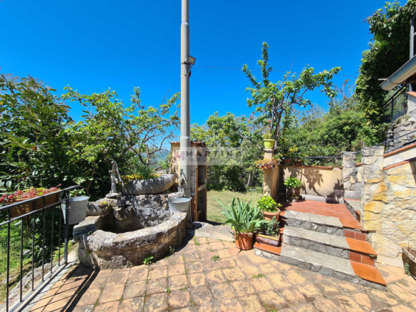 Farmhouse surrounded by greenery