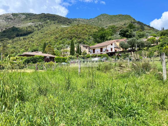 Struttura in cemento armato con giardino