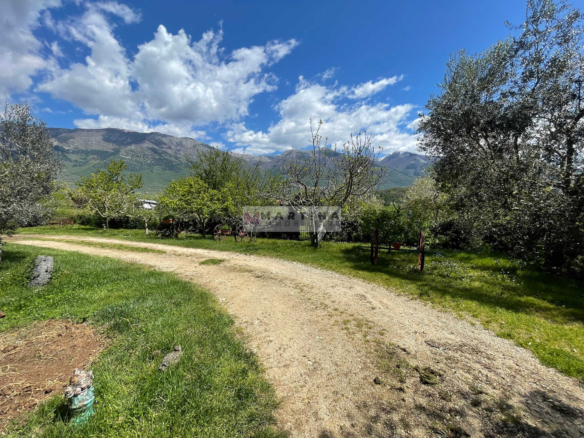 Casa indipendente con terreno