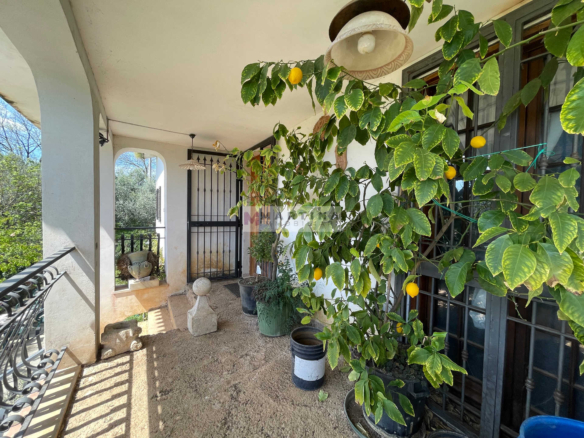 Casa indipendente con terreno