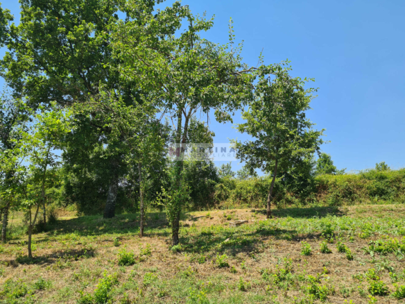 Farmhouse with land
