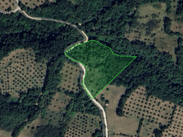 Rudere con terreno