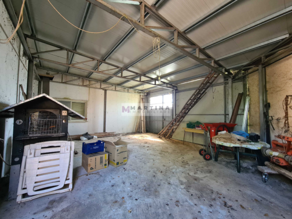 Complesso Immobiliare con Abitazioni, Fabbricati Rurali e Terreno