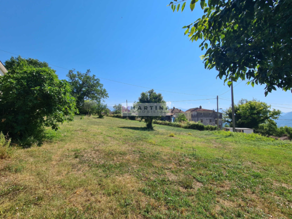 Complesso Immobiliare con Abitazioni, Fabbricati Rurali e Terreno