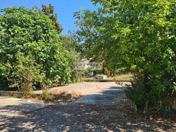 Complesso Immobiliare con Abitazioni, Fabbricati Rurali e Terreno