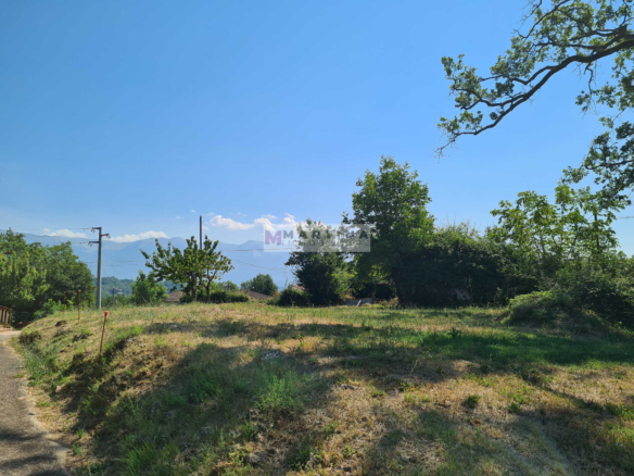 Complesso Immobiliare con Abitazioni, Fabbricati Rurali e Terreno