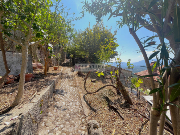 Doppio appartamento con terrazzo e giardino privato