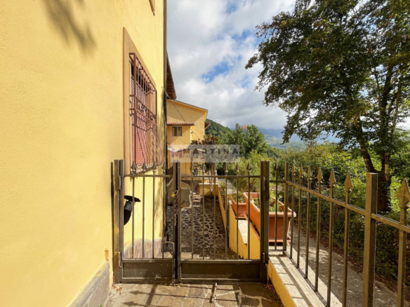 House with land