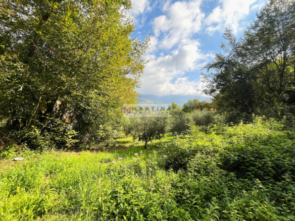 House with land