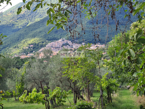 Casale da ristrutturare