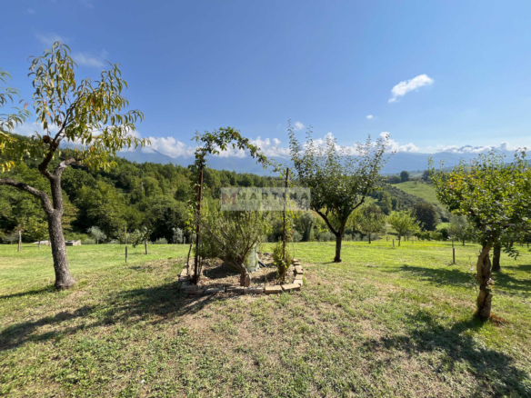 Casale immerso nella natura con terreno