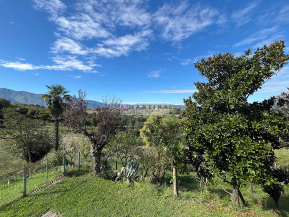 Casa indipendente con terreno