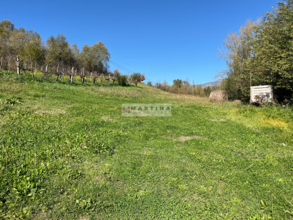 Porzione di casale con terreno
