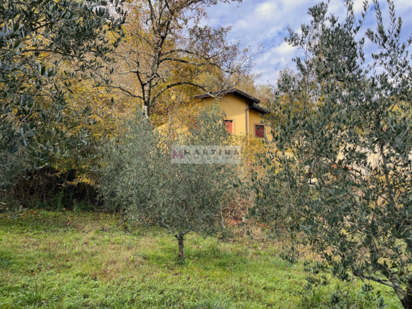 House with land