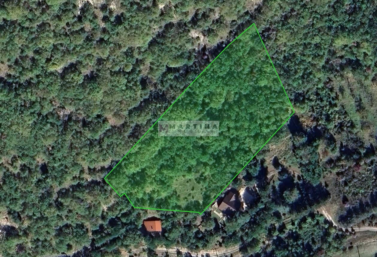 Campoli Appennino terreno1