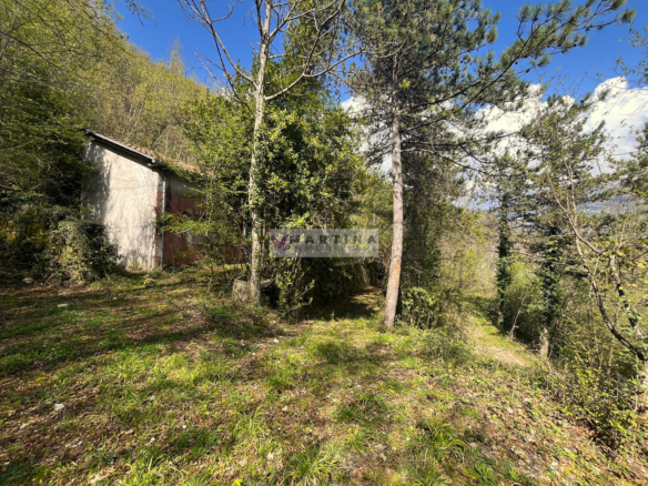 Farmhouse surrounded by nature with land
